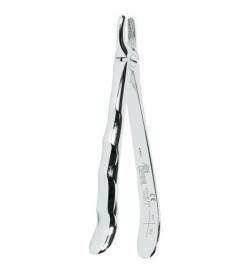 EXTRACT.FORCEPS ANATOMIC HANDLE N.1 UPPER INCISORS CANINES 