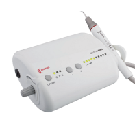 UDS-A LED  woodpecker scaler